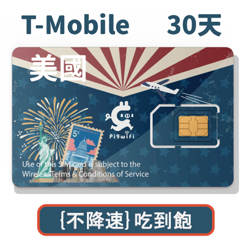 pigwifi - 美國⁽ᵀ⁻ᴹᵒᵇⁱˡᵉ⁾ 不降速吃到飽 4Gᴸᵀᴱ上網SIM卡 ( 30天 )