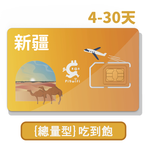pigwifi –新疆獨家 總量型 吃到飽上網SIM卡 (4天~30天)